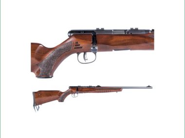 SAVAGE B22 22LR G BLUED WOOD 10 SHOT