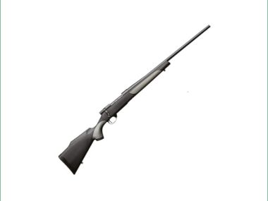 WEATHERBY VANGUARD 223 BLUED SYNTH 24''