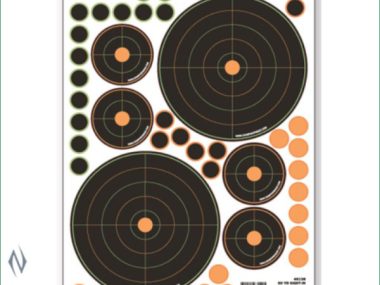 CHAMPION TARGET VISICOLOR 50YD SIGHT IN
