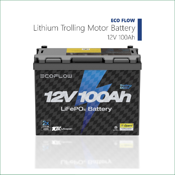 EcoFlow 12V 100Ah Lithium Battery