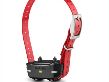 GARMIN PT10 RECEIVER COLLAR - RED