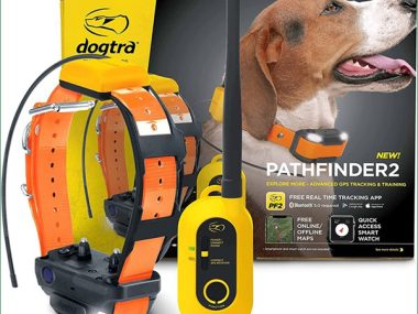 DOGTRA PATHFINDER2 GPS TRACK & TRAIN