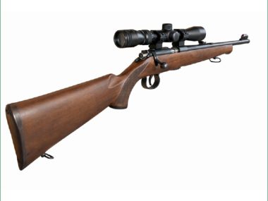 OUTDOOR ARMS JW15 22LR WOOD PACKAGE
