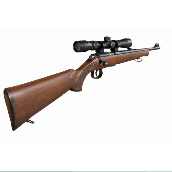 OUTDOOR ARMS JW15 22LR WOOD PACKAGE