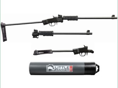 CHIAPPA LITTLE BADGER TD XTREME 16.5'' 22LR