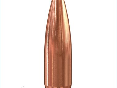 S2040 SPEER 308 168GR BTHP MATCH 100PK