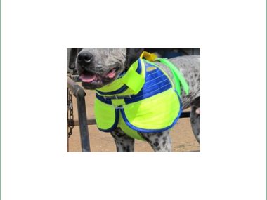 DPDC3/4-SF-S DUNCANS PIG DOG 3/4 COLLAR