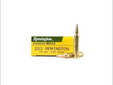 R223R1 REMINGTON 223REM - 55G PSP