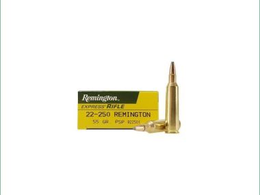 R22501 REMINGTON 22-250 55 GR PSP