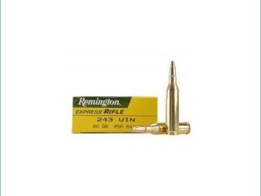 R243W1 REMINGTON EXPRESS 243WIN 80GR