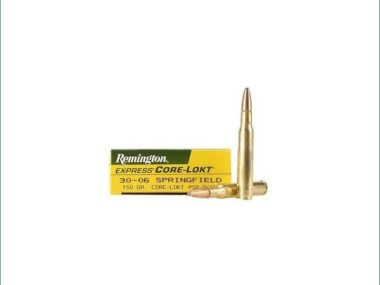 R30062 REMINGTON 30-06SPRG 150G PSP