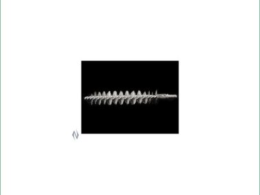 R9329 RCBS CASE NECK BRUSH - LARGE