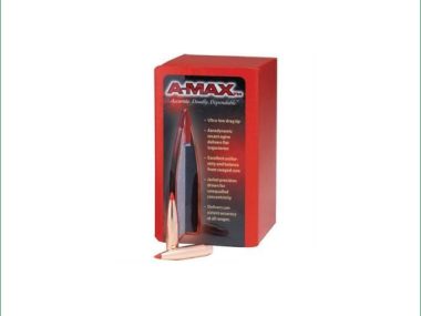 H30395 HORNADY FTX 30CAL 160GR .308