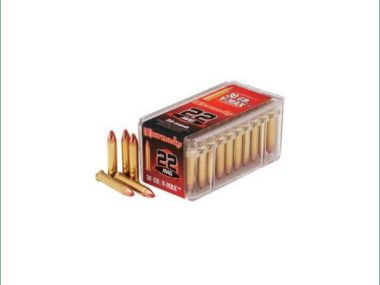 H83202 HORNADY 22 WMR 30GR V-MAX