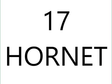 17 Hornet
