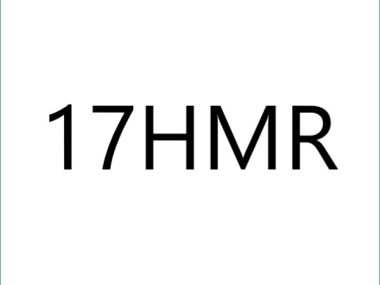 17HMR