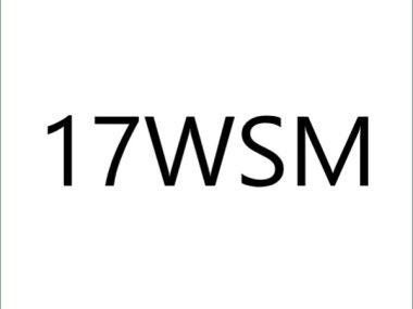 17WSM