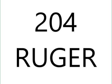 204 Ruger