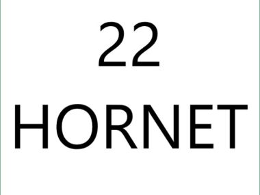 22 Hornet