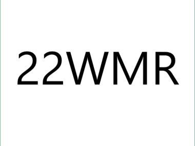 22WMR