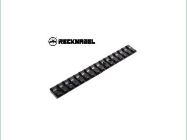 RECKNAGEL RUGER 10/22 PICATINNY RAIL