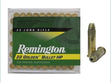 1600 REMINGTON 22LR GOLDEN BULLET 36G HP
