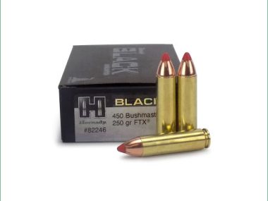 H82246 HORNADY 450 BUSHMASTER 250GR FTX