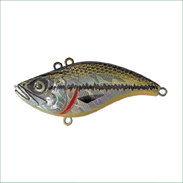 STRIKEPRO HUMMER 65 XBBO
