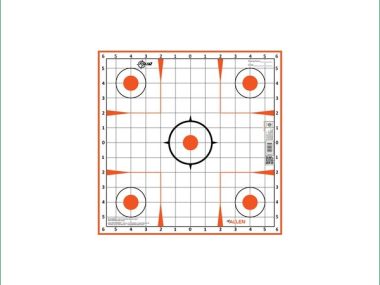 15333 ALLEN EZ AIM 12in GRID TARGET 13PK