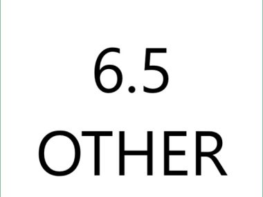 6.5 other