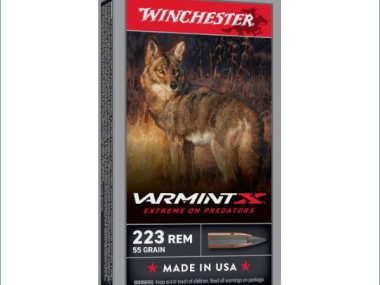 X223PXP WINCHESTER 223REM 55GR PT