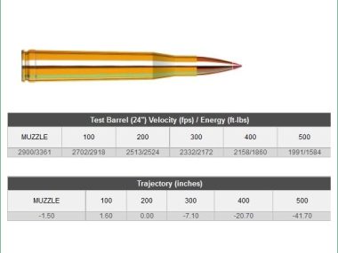 H8210 HORNADY 300H&H 180GR INTERBOND