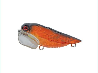 BRC011 BUSHRANGER CICADA 011