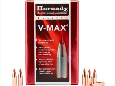 H22265 HORANDY 22 CAL 224 53GR V-MAX