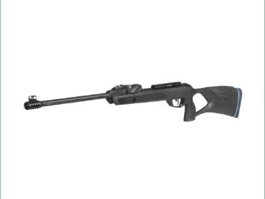GAMO ROADSTER STORM IGT 10X GEN 2 22AIR