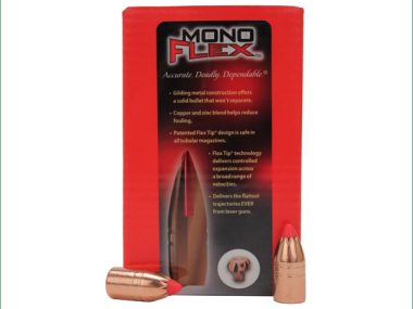 H45010 HORNADY 45CAL 458 250GR MONOFLEX