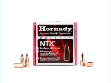 H17016 HORNADY 17CAL 15.5GR NTX