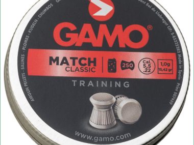 GAMO MATCH .22 FLAT PELLETS 250PK