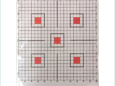 BORE XPRESS SIGHTING IN TARGET 10 PACK