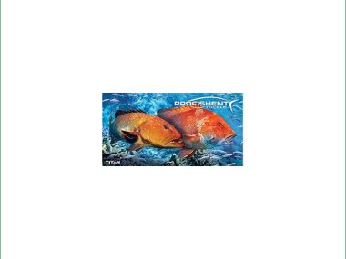 STUBBY HOLDER - CORAL TROUT EMPEROR