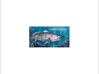 STUBBY HOLDER - JEWFISH