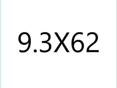 9.3X62 cal