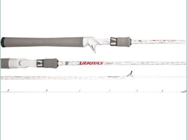 1547537 VERITAS VRT4-C 601H 5-10KG BC
