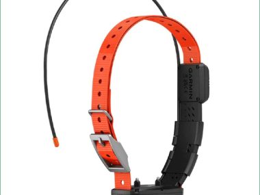GARMIN TT25 GPS TRACK & TRAIN DOG COLLAR