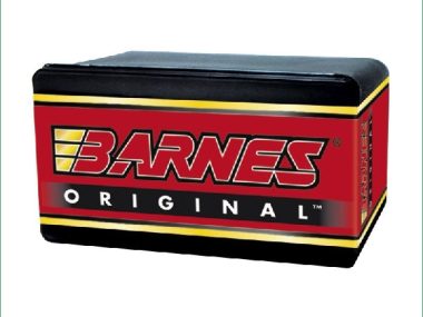 B30497 BARNES ORIGINAL .375 38/55 255GR