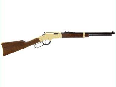 HENRY 22LR LEVER ACTION GOLDEN BOY YOUTH