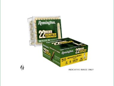 GHB22 REMINGTON 22LR 40GR PLATED HP 100P