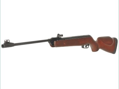GAMO FOREST BEECHWOOD STOCK 177 900FPS