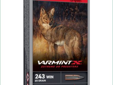 X243PXP WINCHESTER VARMINT X 243WIN 65GR
