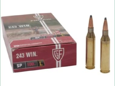 FIOCCHI 243WIN 100GR SP 20 PACK